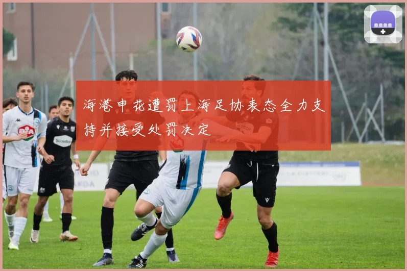 海港申花遭罚上海足协表态全力支持并接受处罚决定