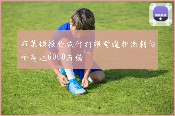 布莱顿报价武什科维奇遭拒热刺估价高达6000万镑